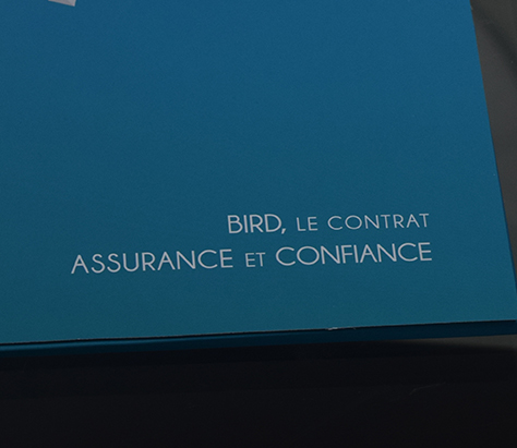 Bird Assurances